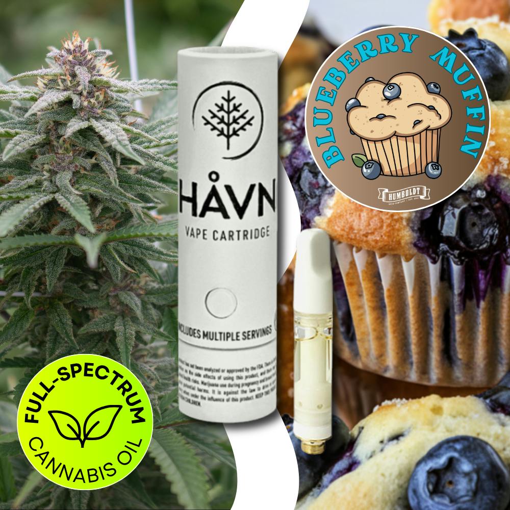 HAVN - Blueberry Muffin | Full Spectrum Cartridge | 1g - 1