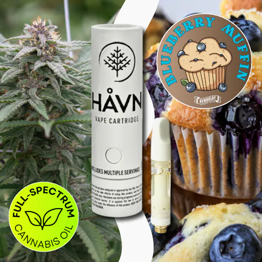 HAVN - Blueberry Muffin | Full Spectrum Cartridge | 1g - 1