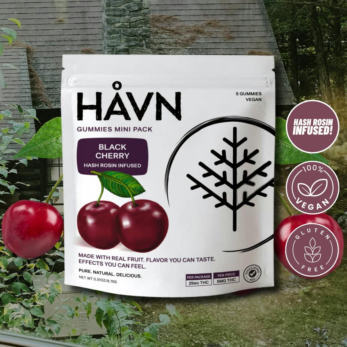 HAVN - Black Cherry Gummies | 25mg | 5ct | 5mg/ea - 1