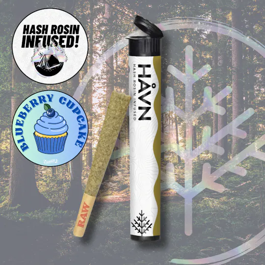 HAVN - Blueberry Cupcake | Infused Joint | 1g - 1