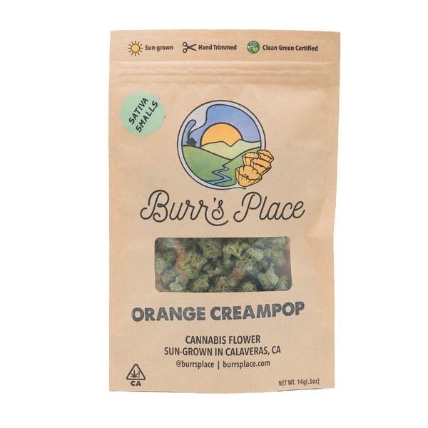 Burr's Place - Orange Creampop | Smalls | 14g - 1