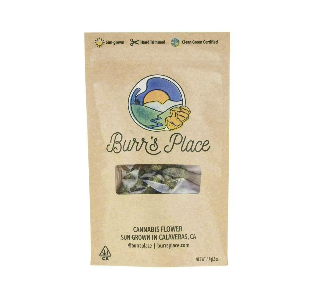 Burr's Place - Tropicana Shoes | Smalls | 14g - 1