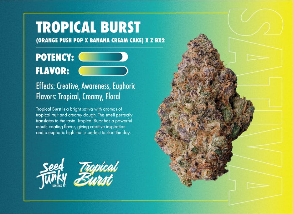 Seed Junky - Tropical Burst | Joints | 1g each | 4pk - 1