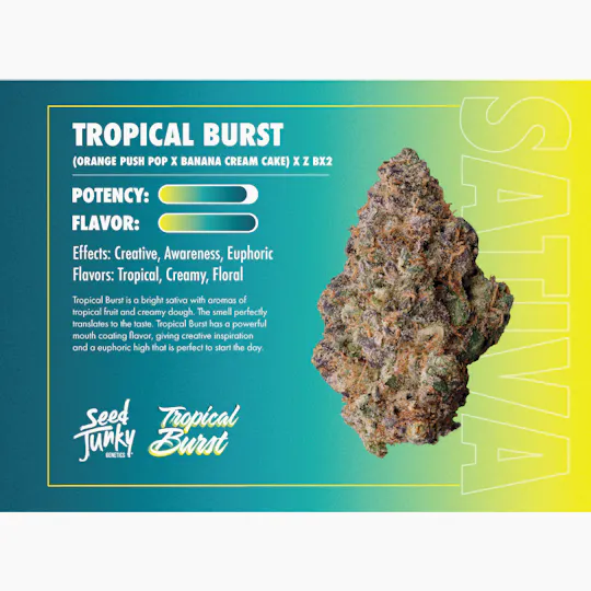 Seed Junky - Tropical Burst | Joints | 1g each | 4pk - 1