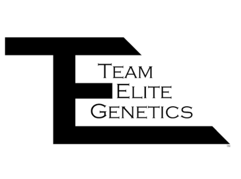 Team Elite Genetics - Styrofoam Cup x Creme De La Creme | Big Buds | 3.5g - 1