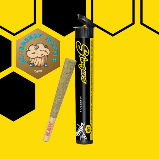 Stingers - Brand - Blueberry Muffin | Infused Joint | 1g - 1