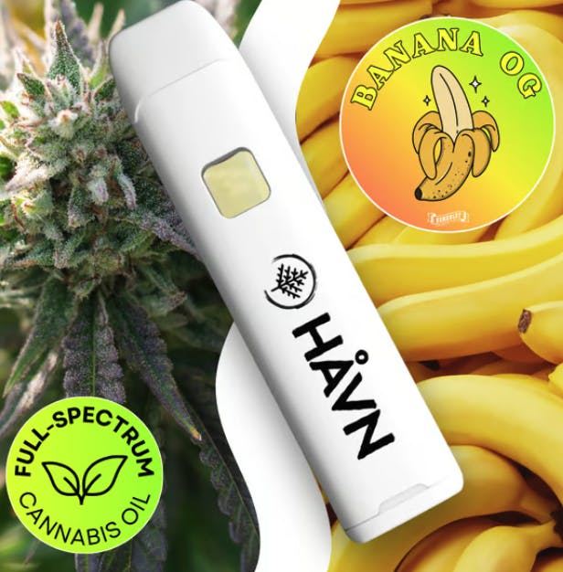 HAVN - Banana OG | Full Spectrum Disposable | 1g - 1