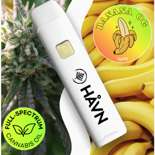 HAVN - Banana OG | Full Spectrum Disposable | 1g - 1
