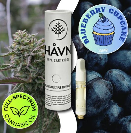 HAVN - Blueberry Cupcake | Full Sprectrum Cartridge | 1g - 1