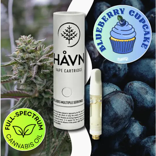 HAVN - Blueberry Cupcake | Full Sprectrum Cartridge | 1g - 1