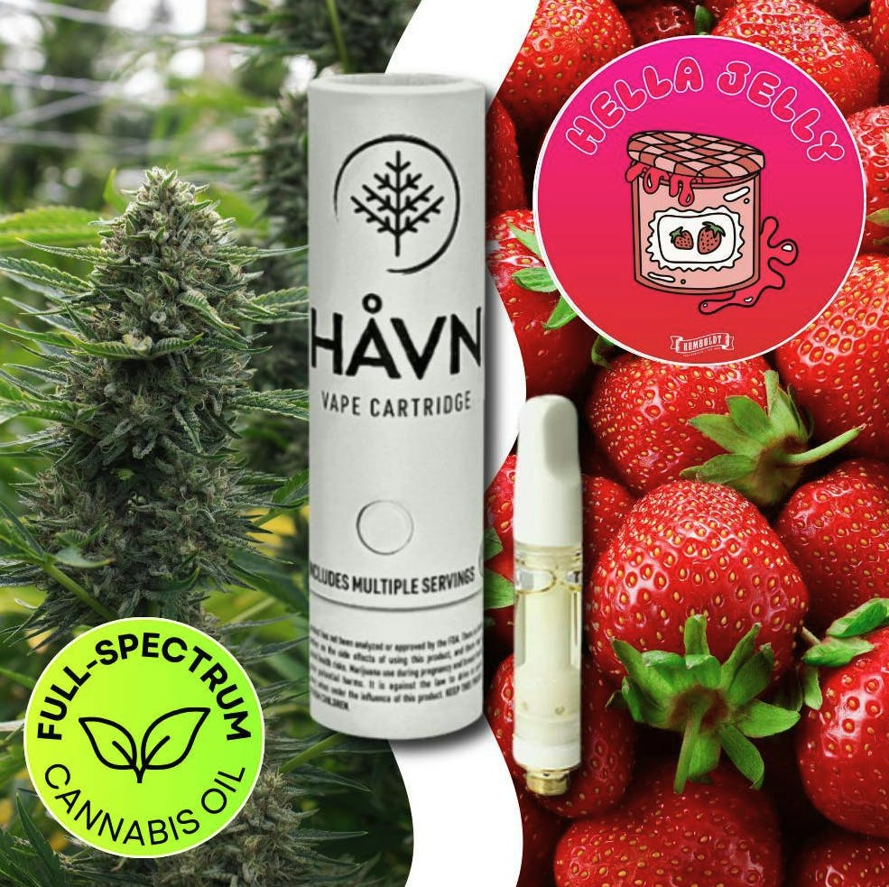HAVN - Hella Jelly | Full Sprectrum Cartridge | 1g - 1