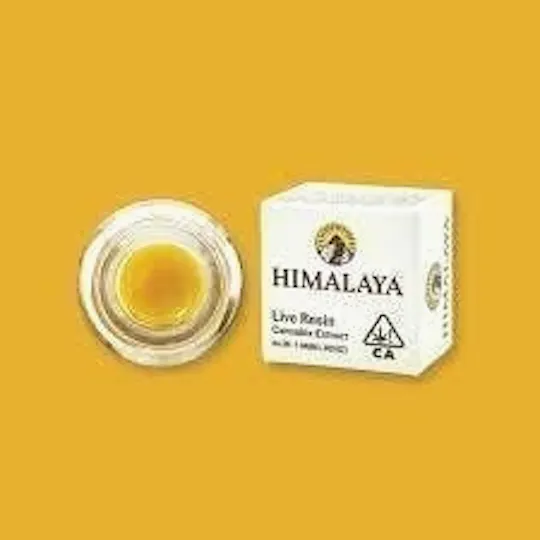 HIMALAYA - HIMALAYA | Gurple | Live Resin Concentrate | 1g - 1