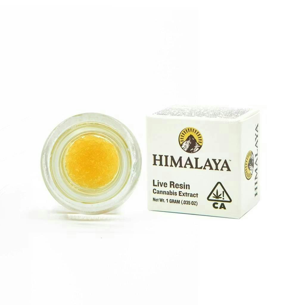 HIMALAYA - HIMALAYA | GMO | Terp Sugar Concentrate | 1g - 1