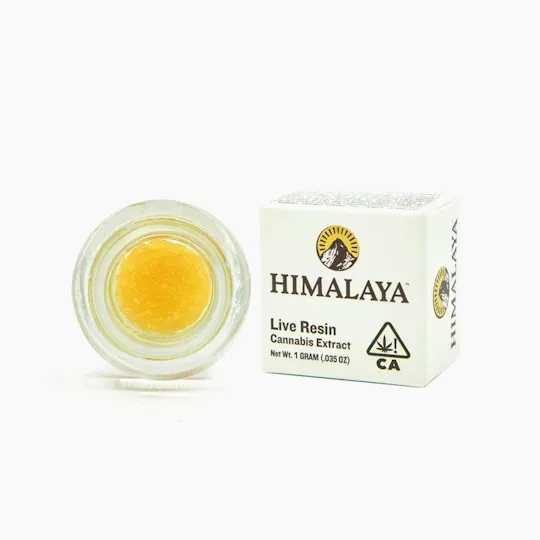 HIMALAYA - HIMALAYA | GMO | Terp Sugar Concentrate | 1g - 1