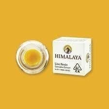 HIMALAYA - HIMALAYA | Pink Certz | Live Resin Concentrate | 1g - 1