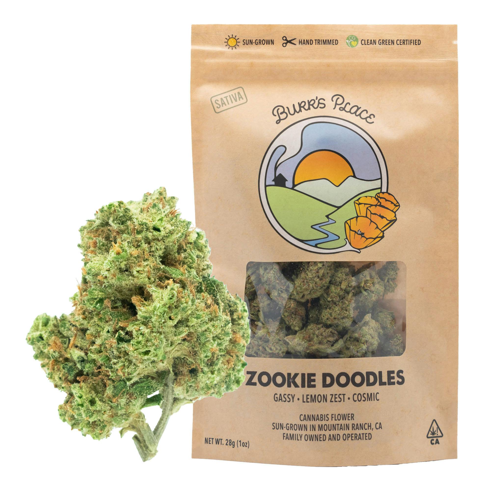 Burr's Place - Zookie Doodles | Big Buds | 28g - 1