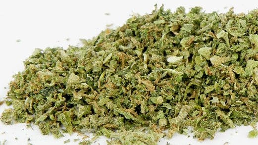 Suite 443 Stocking Up Sunday