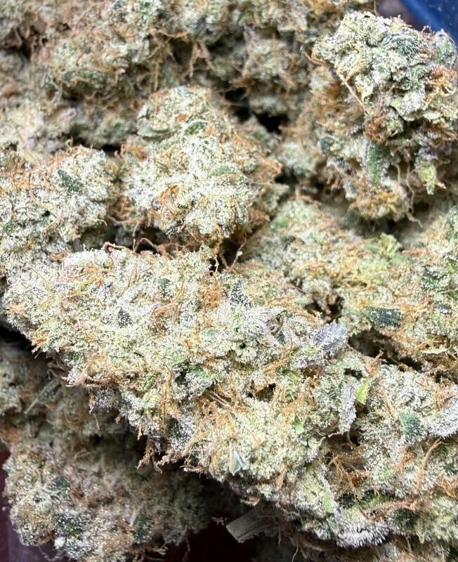 207 Headband | Best Friend Farms