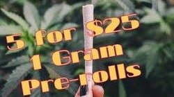 Crystal Spring Healing Alternatives 5 for $25 1G Prerolls