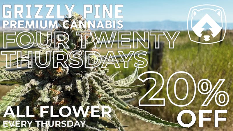 Grizzly Pine - Helena Four Twenty Thursdays