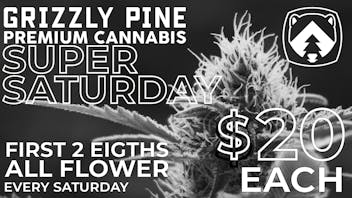Grizzly Pine - Helena Super Saturday