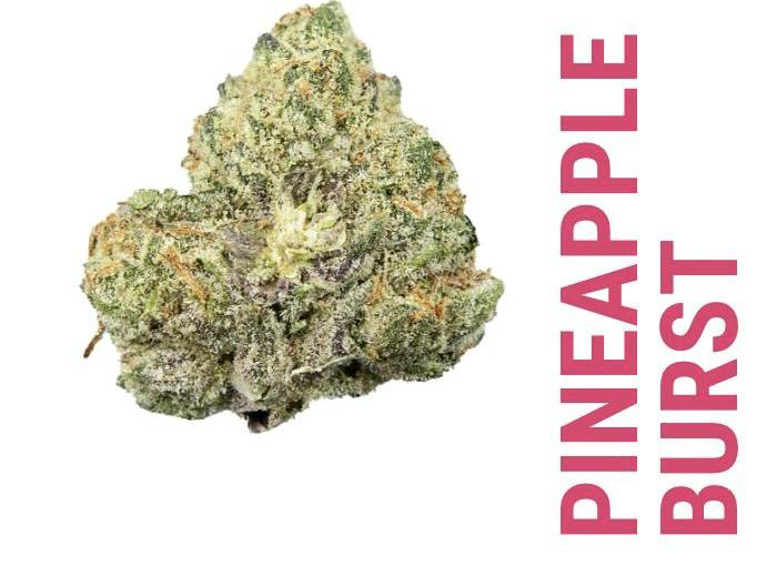 Pineapple Burst 3.5g
