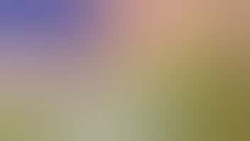 The Great Atlantic Puffin Company 10% off Veteran's Discount