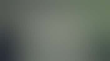 The Great Atlantic Puffin Company $25 Maine Medical Cards