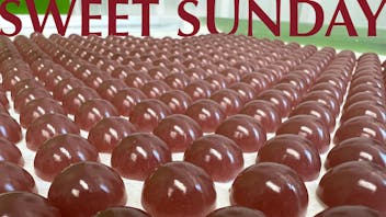 Collective Elevation Missoula [sweet]Sunday 10%OFF Edibles