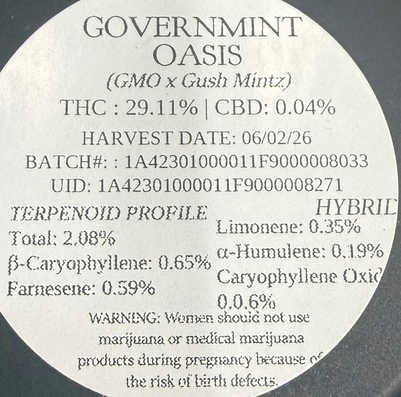 SHC | Governmint Oasis | 3.5g Flower 29% Thc