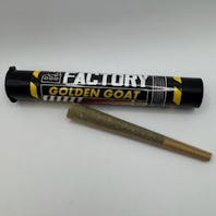 Wacky Jackz - Gladstone B5G1 Goldkine Factory Preroll