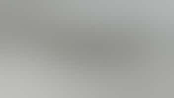 Wacky Jackz - Gladstone B5G1 Goldkine Factory Preroll