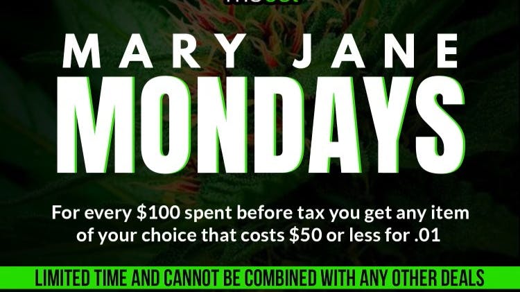 The Set Los Feliz Mary Jane Mondays