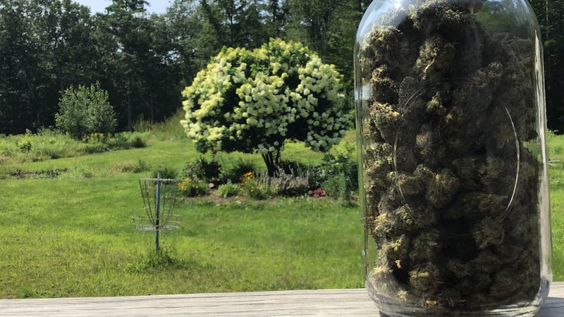 Green Roots Company 10% off Flower Mondays!