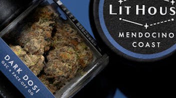 Napa Cannabis Collective FRI-YAY 10% Off All Flower!!