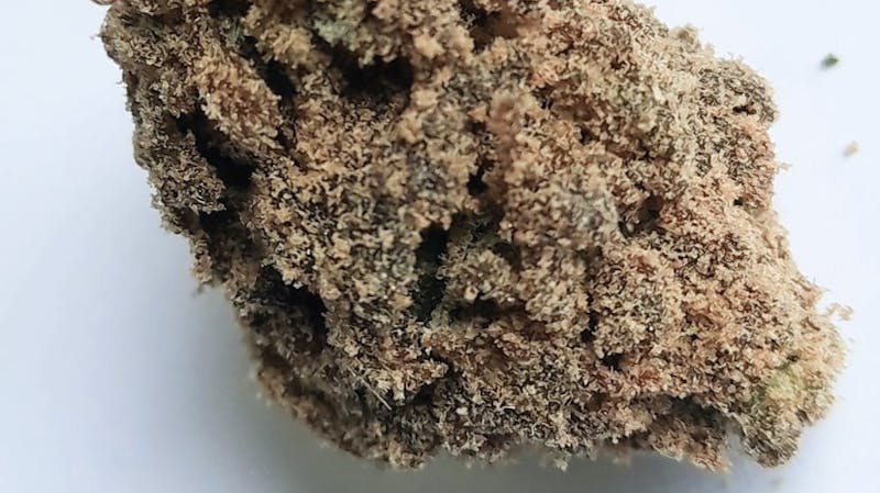 Elevation Station SATURDAY 10% OFF MOON ROCKS