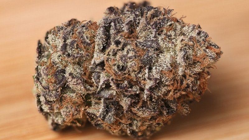 AMCH - MEDICAL MED. $27.48 1/4 Oz SPECIAL