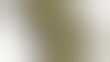 Hibuzz - Eglinton 14G BUNDLE DEAL 10% OFF!