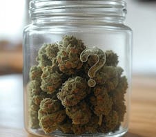 Coast Cannabis Mix N Match (2) GDF 3.5G =$25