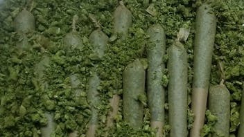 New Millennium $2 PRE-ROLLS!!