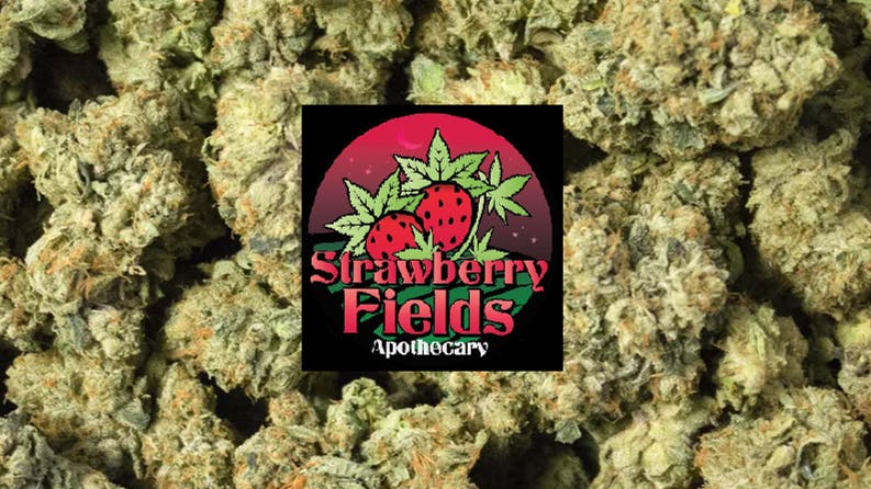 Strawberry Fields Apothecary 15% OFF ALL HOUSE MADE PRODUCTS!