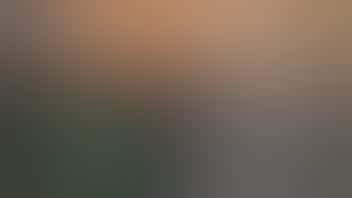 Happy Leaf Wacky Wednesday