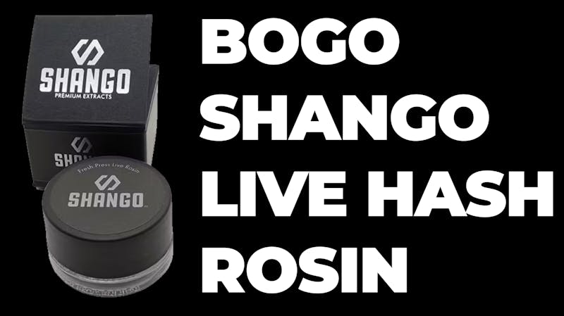 White Mountain Health Center BOGO SHANGO LIVE HASH ROSIN 1g