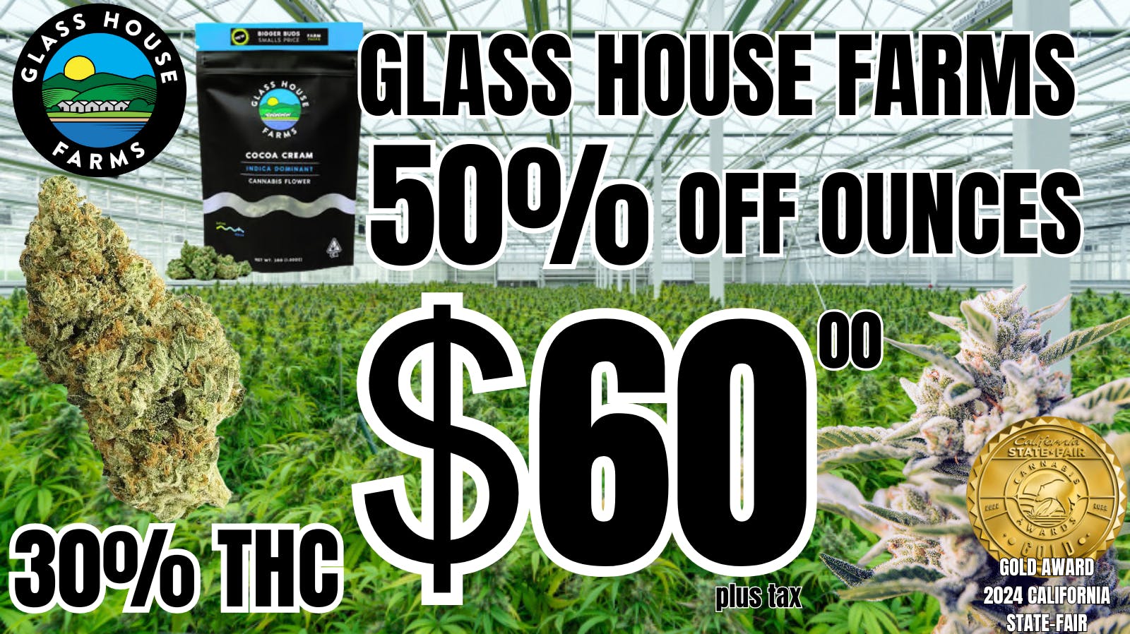 OG Time 50% OFF GLASS HOUSE OUNCES🔥