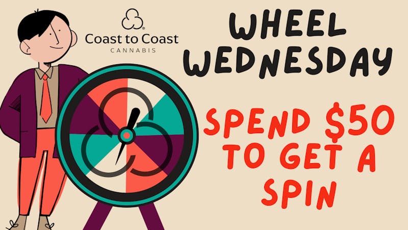 Coast to Coast Canoga WHEEL WEDNESDAY