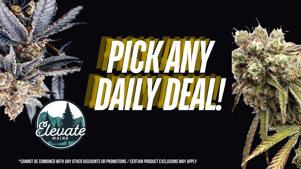 Elevate Maine - S. Portland Pick Any Daily Deal!