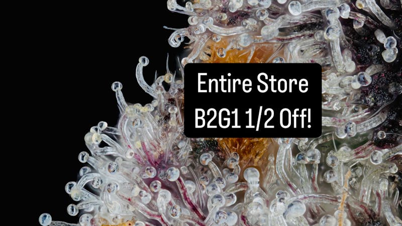 Selective - Recreational $100 OZs! $20 8ths! $65 Half Ozs