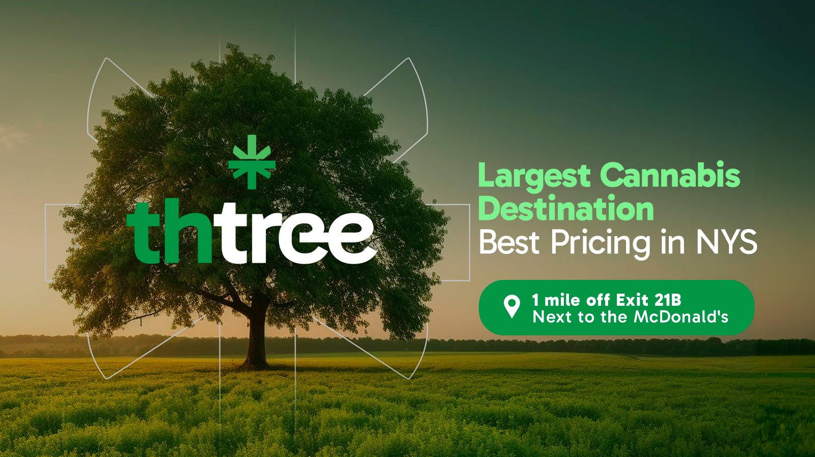 ThTree Visit THTree Today!