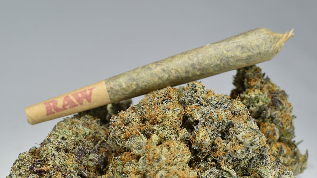 REDS MEDS NEW ENGLAND 25 Giggle Sticks $100!