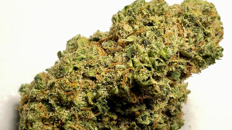 Bobby Brown Best Buds $65 OZ DEAL!!!!